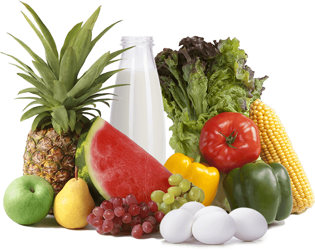 FL Wholesale Fruit Distributor - Sunfresh Produce